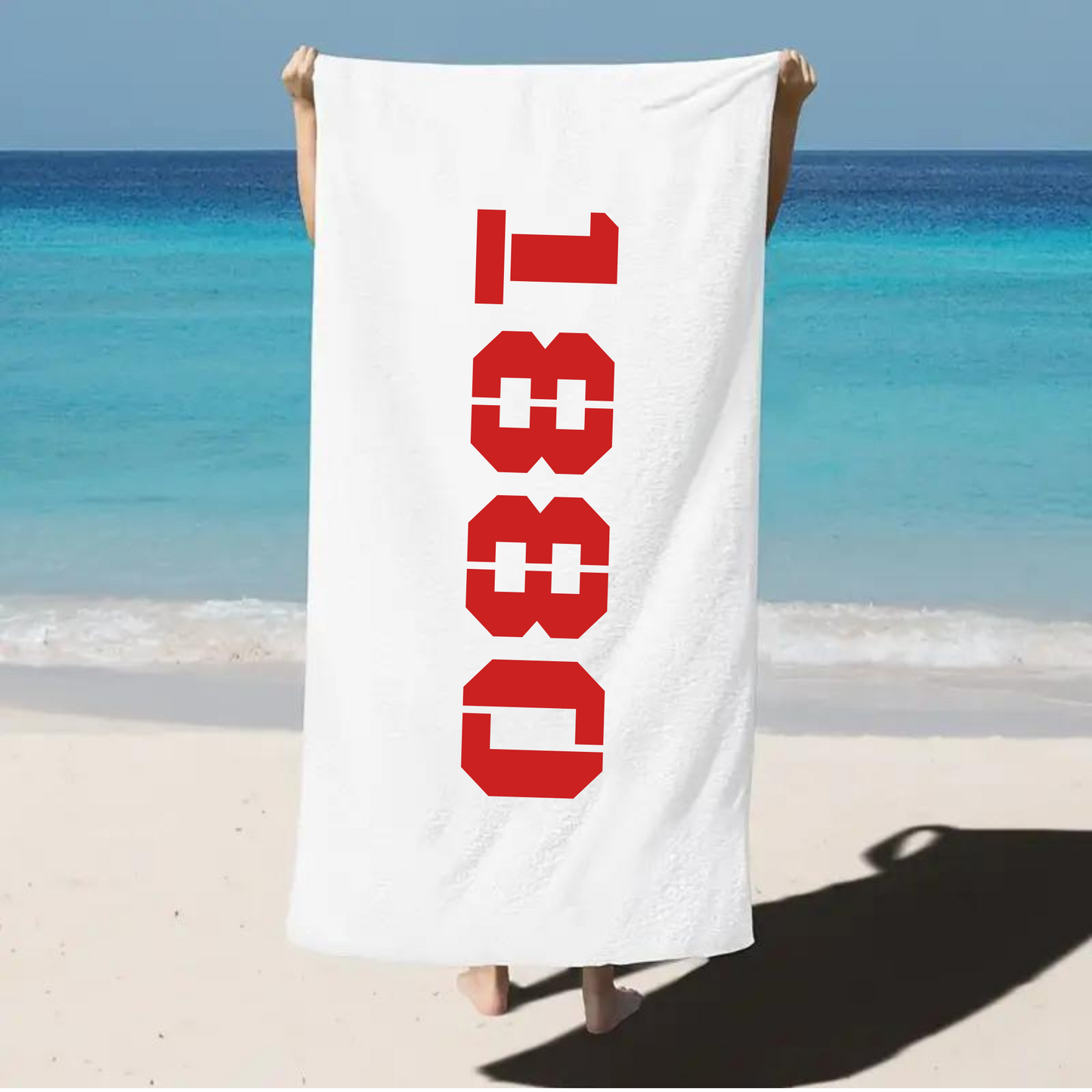 Antwerp Beach Towel 1880 Horizon