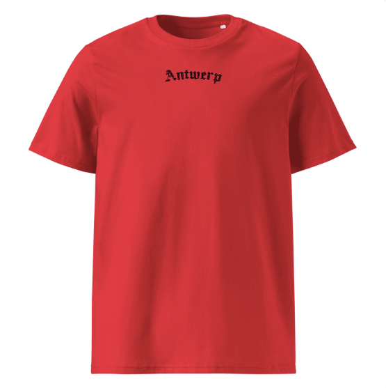 Antwerp Oversized T-shirt "Map"