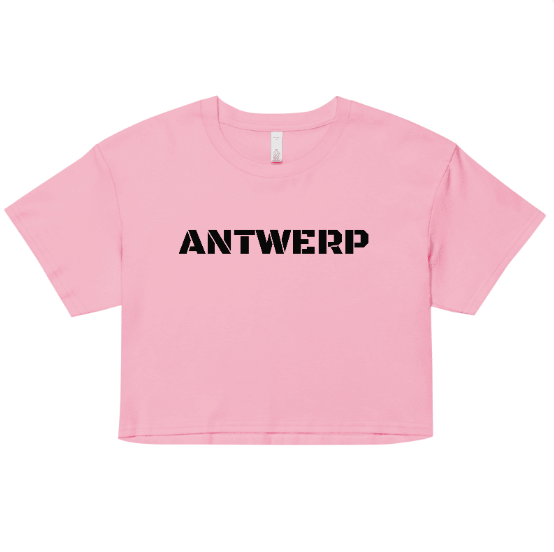 Antwerp Cropped T-shirt Stone