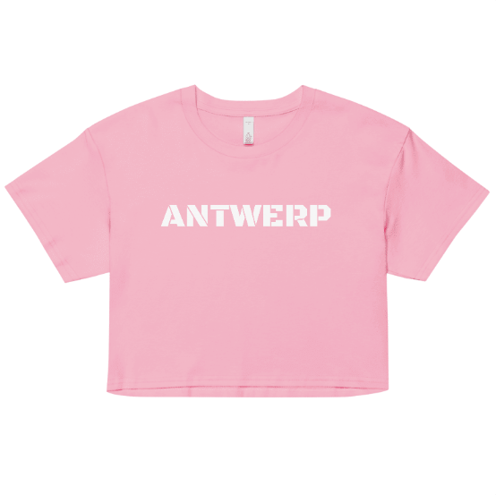 Antwerp Cropped T-shirt Stone