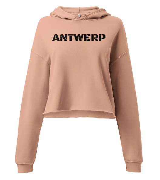 Antwerp Cropped Hoodie Stone