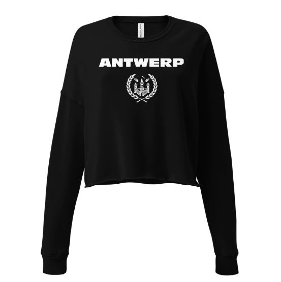 Antwerp Cropped Sweater Shield