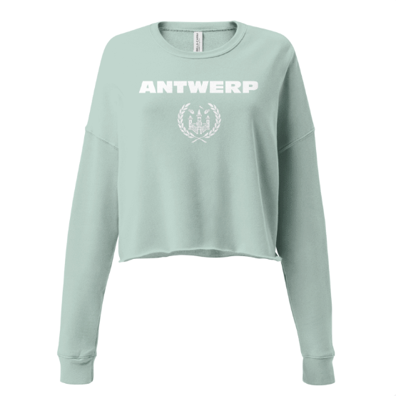Antwerp Cropped Sweater Shield