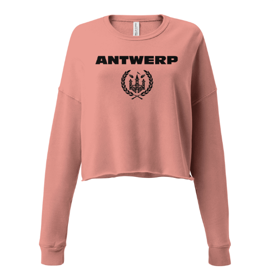 Antwerp Cropped Sweater Shield