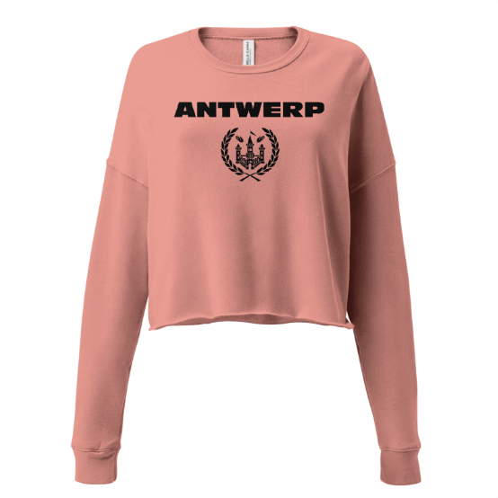 Antwerp Cropped Sweater Shield Kids