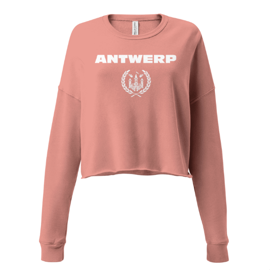 Antwerp Cropped Sweater Shield