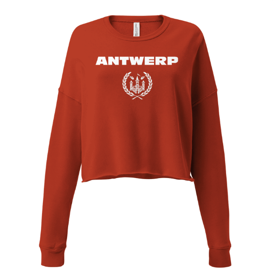 Antwerp Cropped Sweater Shield Kids