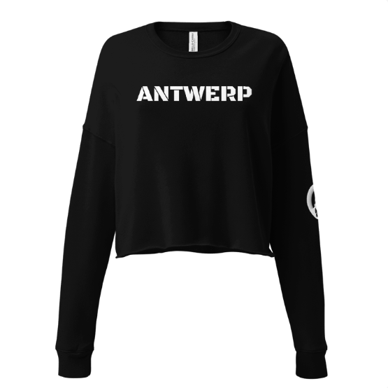 Antwerp Cropped Sweater Stone