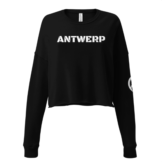 Antwerp Cropped Sweater Stone Kids