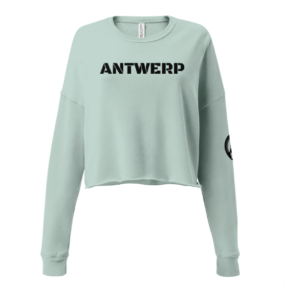 Antwerp Cropped Sweater Stone