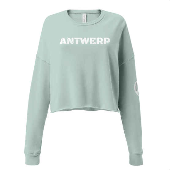 Antwerp Cropped Sweater Stone