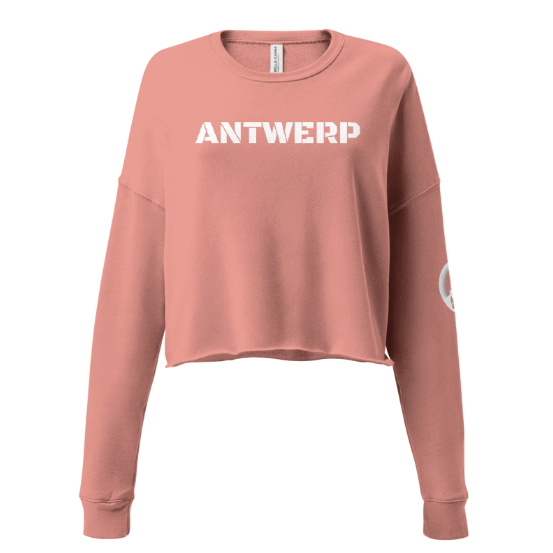 Antwerp Cropped Sweater Stone