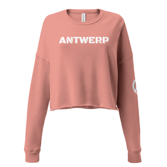 Antwerp Cropped Sweater Stone Kids