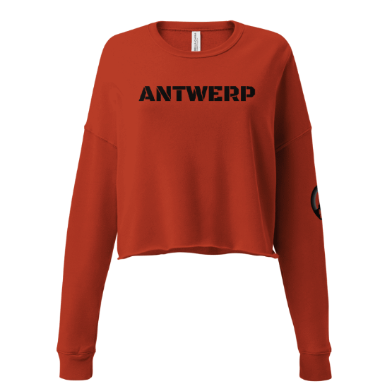 Antwerp Cropped Sweater Stone