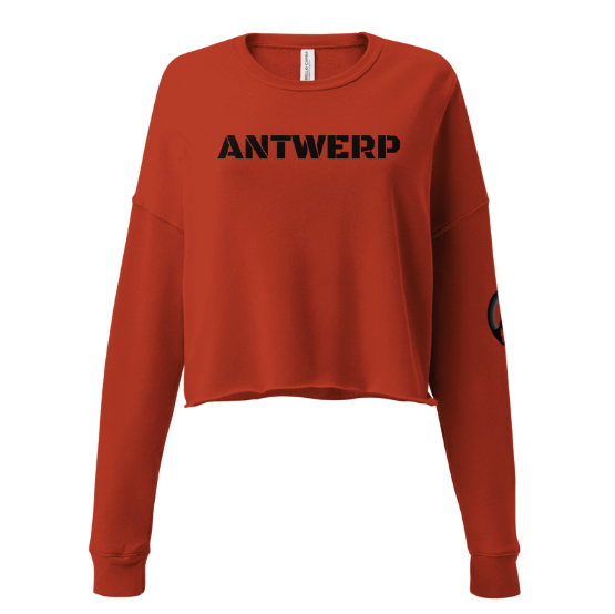 Antwerp Cropped Sweater Stone Kids