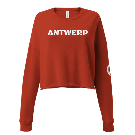 Antwerp Cropped Sweater Stone