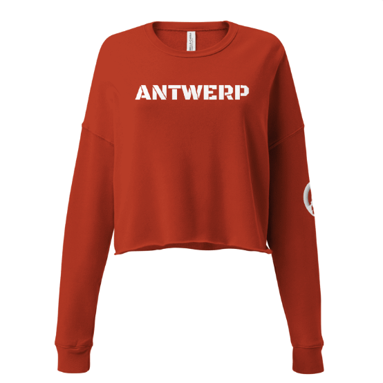 Antwerp Cropped Sweater Stone Kids