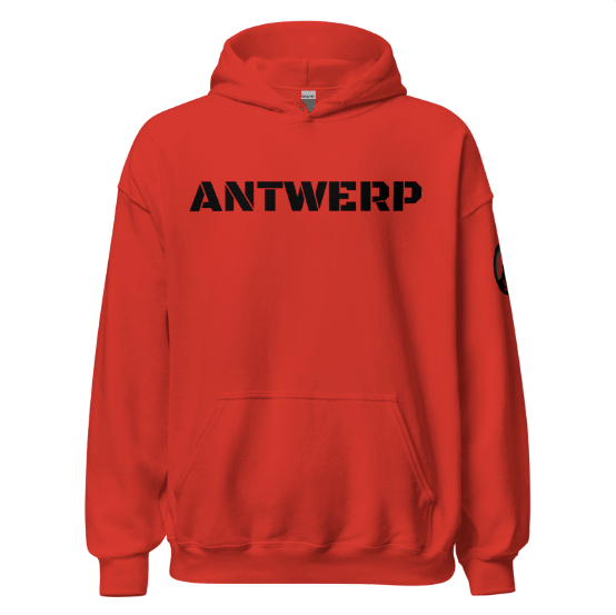 Antwerp Hoodie Stone