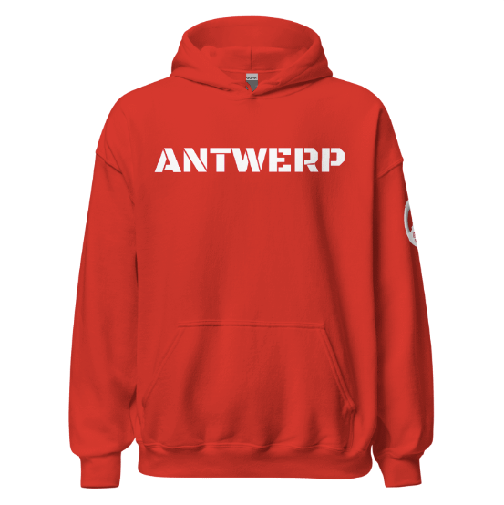 Antwerp Hoodie Stone