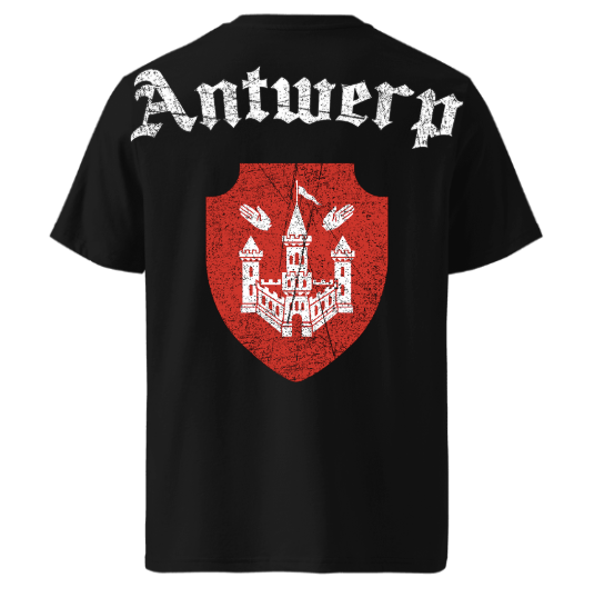 Antwerp Oversized T-shirt "Antwerpiaga" ( Embroidered front ) Kids