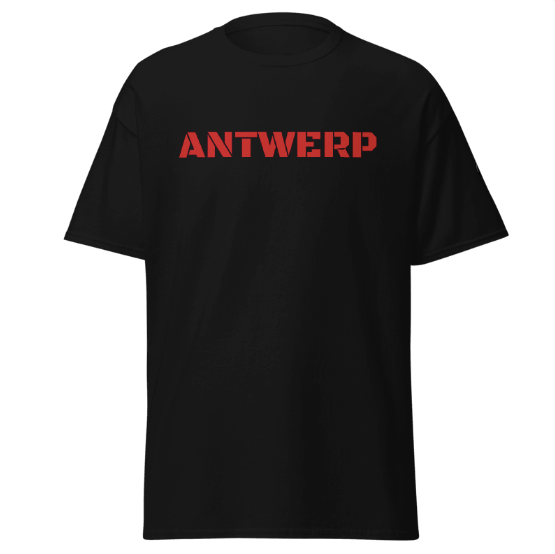 Antwerp T-shirt Stone