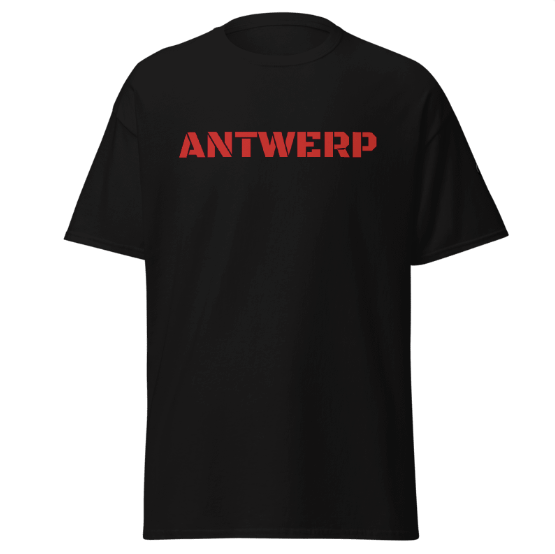 Antwerp T-shirt Stone Kids