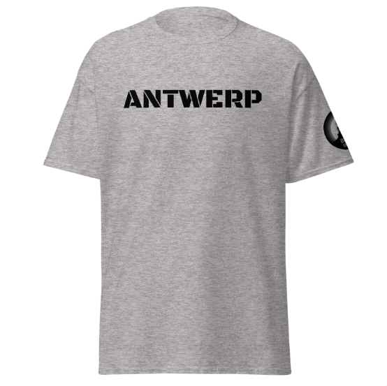 Antwerp T-shirt Stone Kids