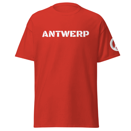 Antwerp T-shirt Stone Kids