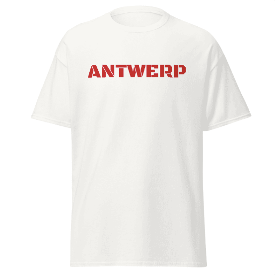 Antwerp T-shirt Stone Kids