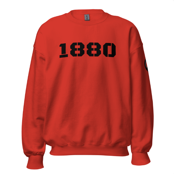 Antwerp Sweater 1880 Stone Kids