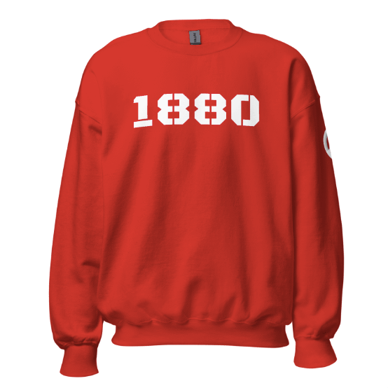 Antwerp Sweater 1880 Stone Kids