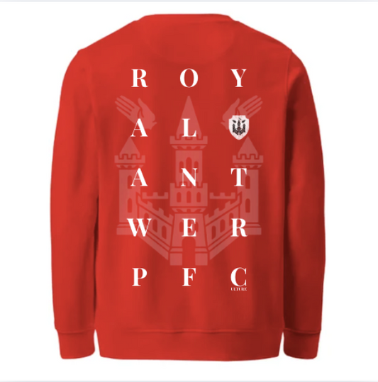 Antwerp Sweater "Unbelievable" Kids