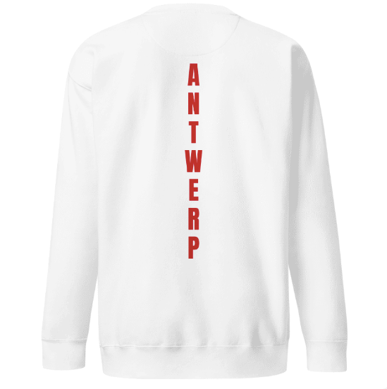 Antwerp Sweater Classic Kids