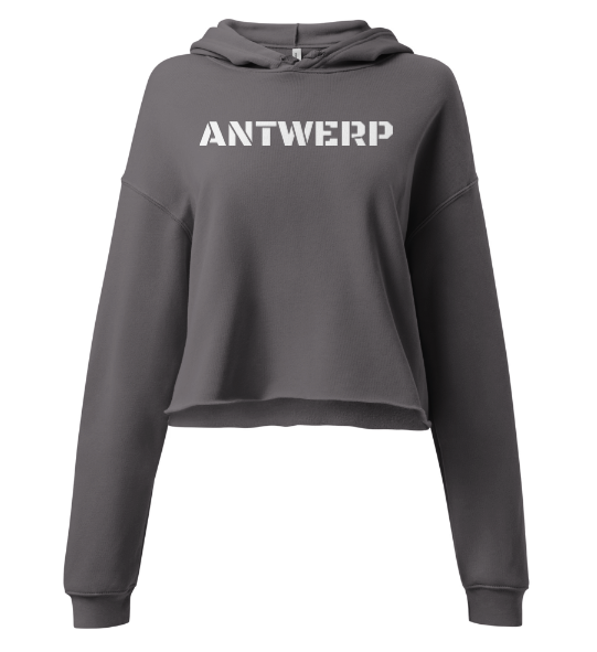 Antwerp Cropped Hoodie Stone