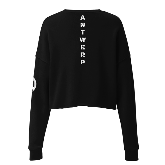 Antwerp Cropped Sweater 1880 Stone