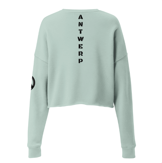 Antwerp Cropped Sweater 1880 Stone