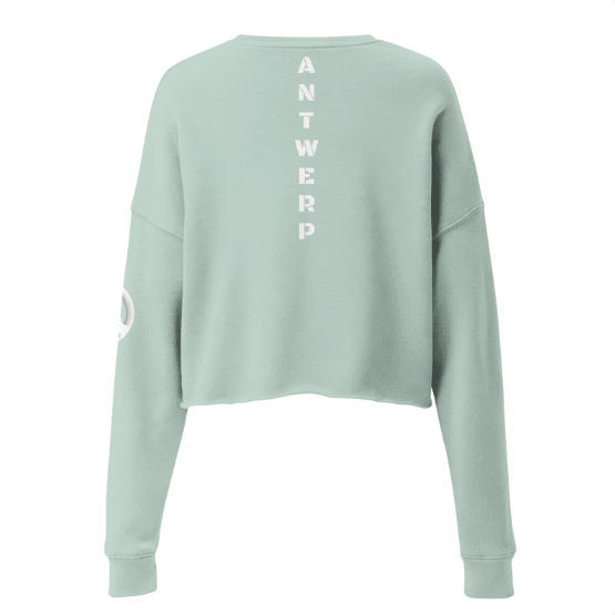 Antwerp Cropped Sweater 1880 Stone