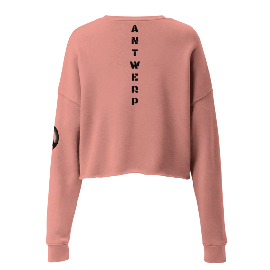 Antwerp Cropped Sweater 1880 Stone