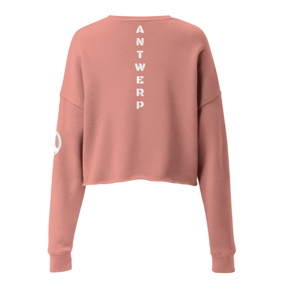 Antwerp Cropped Sweater 1880 Stone