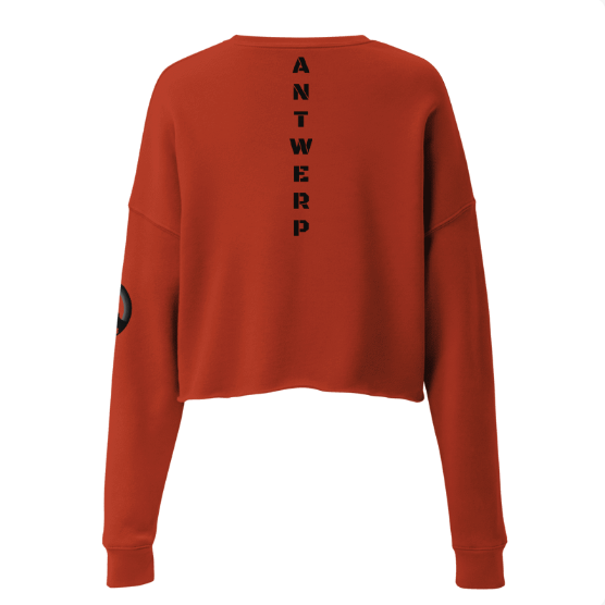 Antwerp Cropped Sweater 1880 Stone