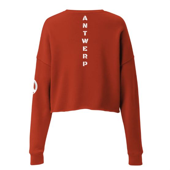 Antwerp Cropped Sweater 1880 Stone Kids