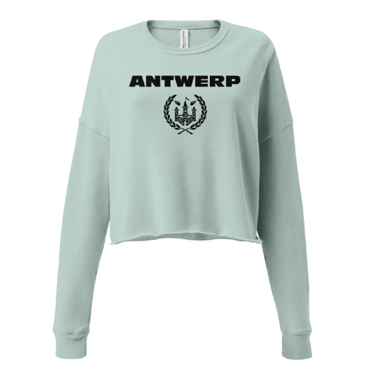 Antwerp Cropped Sweater Shield
