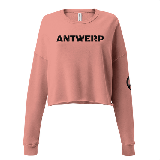 Antwerp Cropped Sweater Stone