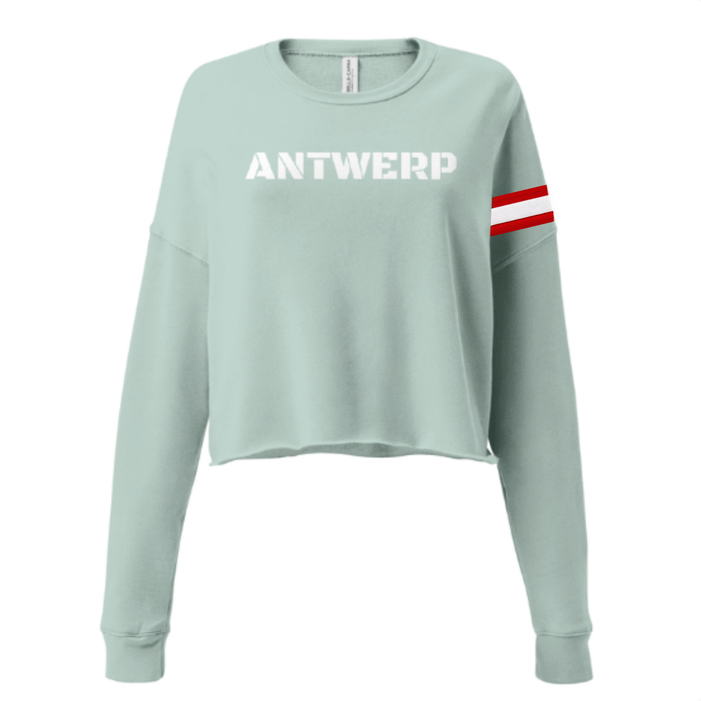 Antwerp Cropped Sweater Leader T. Kids