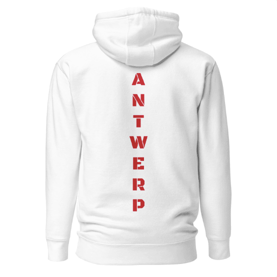 Antwerp Hoodie 1880 Stone Kids