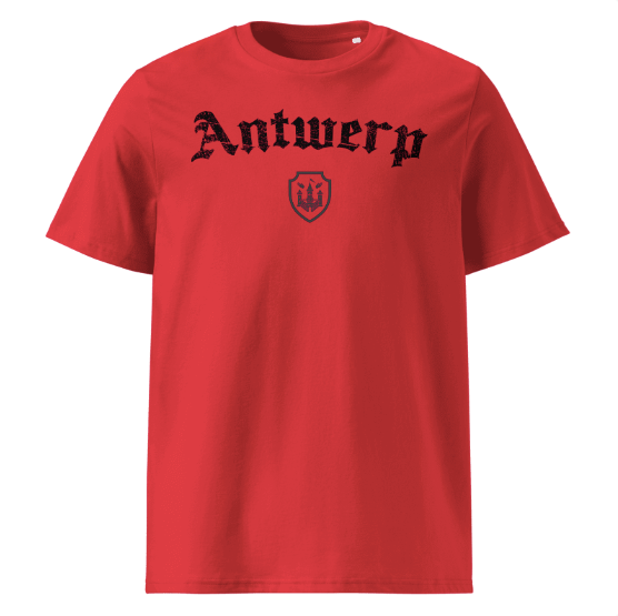 Antwerp Oversized T-shirt "Del Pie Ro" ( Embroidered front )