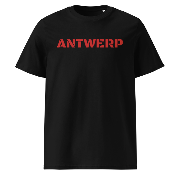 Antwerp T-shirt Stone NoLogo Kids