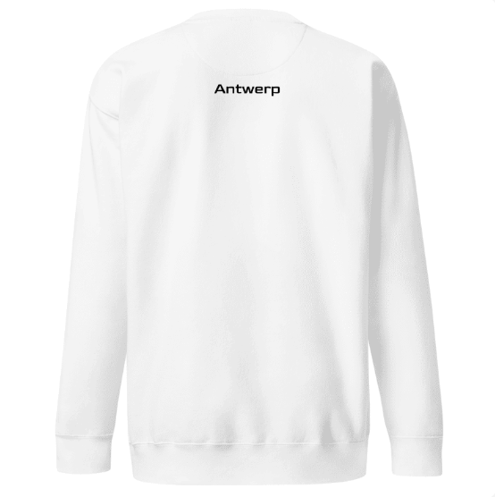 Antwerp Sweater 1880 Fine Kids