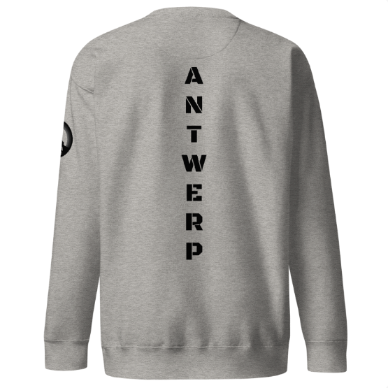 Antwerp Sweater 1880 Stone Kids