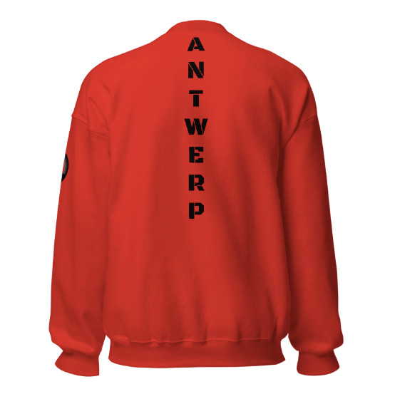 Antwerp Sweater 1880 Stone Kids